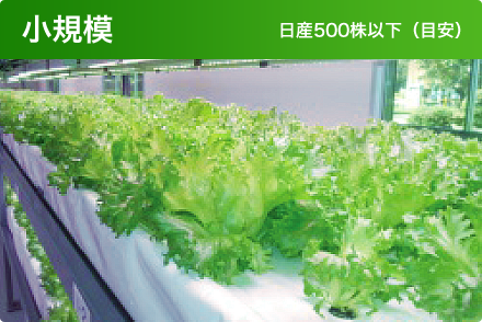 小規模：日産500株以下（目安）