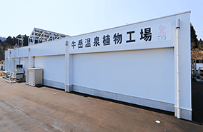 牛岳温泉植物工場