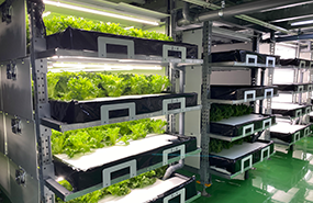 B社植物工場