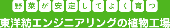 野菜が安定してよく育つ 東洋紡エンジニアリングの植物工場