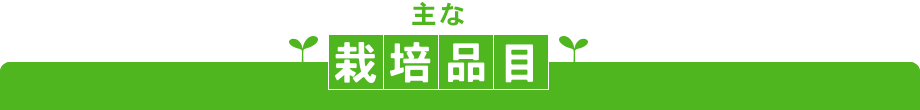 主な栽培品目